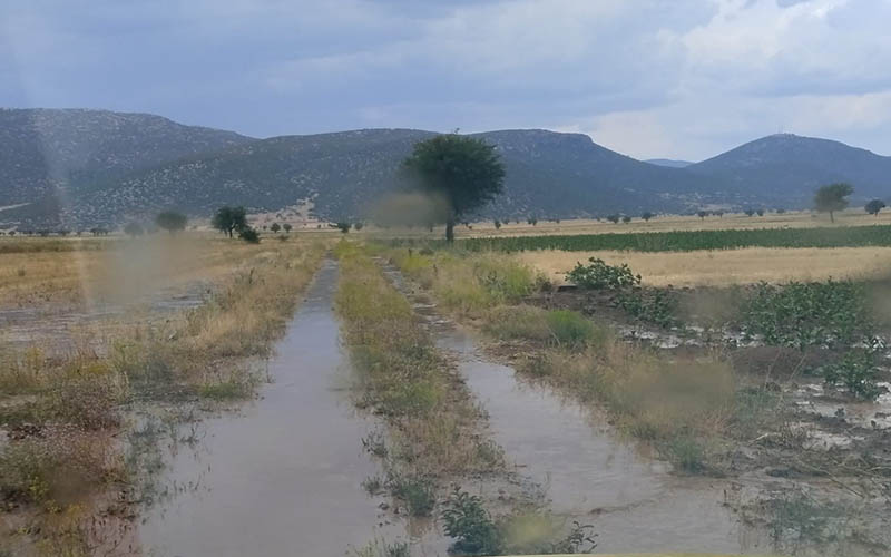 Tavas’ta etkili olan yağış üreticiyi mutlu etti