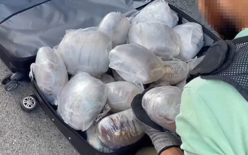 Zehir tacirlerine ‘Narkoçelik’ operasyonu: 320 kişi yakalandı