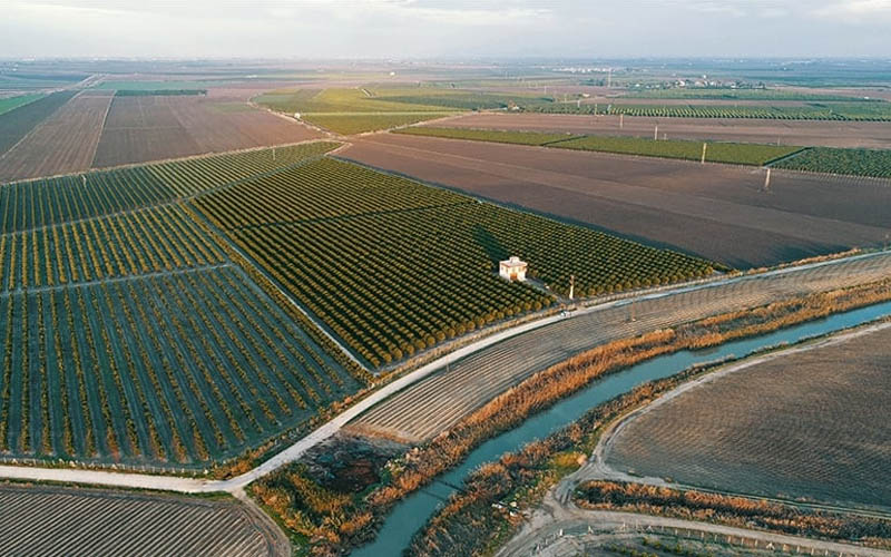Tarımsal yatırımlara yüzde 50 hibe desteği yapılacak