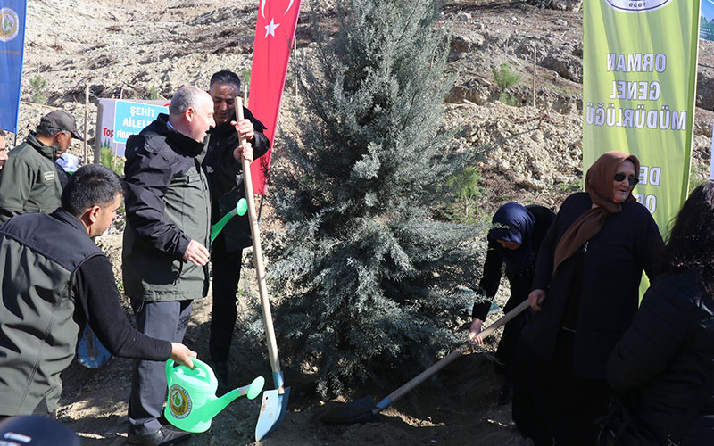 Denizli’de 15 bin 300 fidan toprakla buluştu