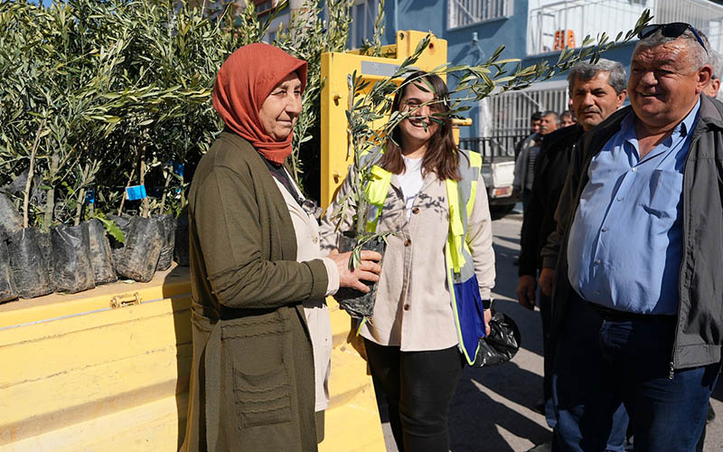 Büyükşehirden 8 mahallede zeytin fidanı dağıtımı