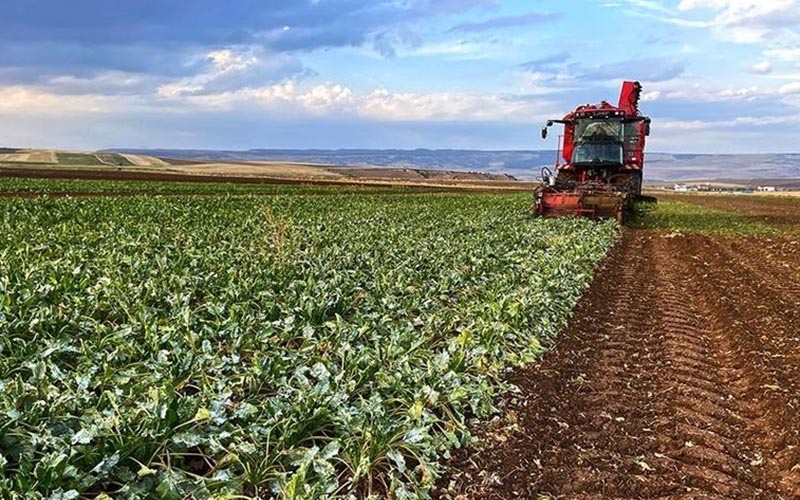 Çiftçilere 5,6 milyar lira destek ödemesi