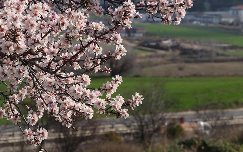Erken bahar, sıcaklık 22 dereceye yükselecek