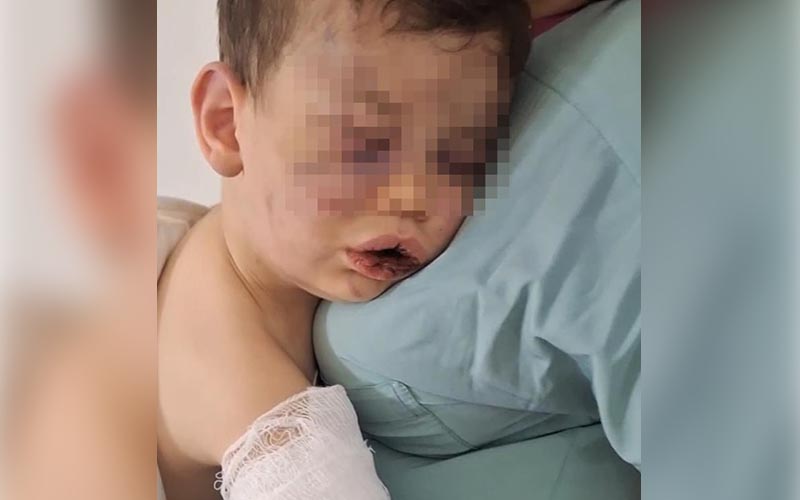 Bebek devlet korumasına alınacak