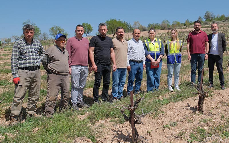 Büyükşehir Belediyesi, zirai dondan zarar gören çiftçilere yardım edecek