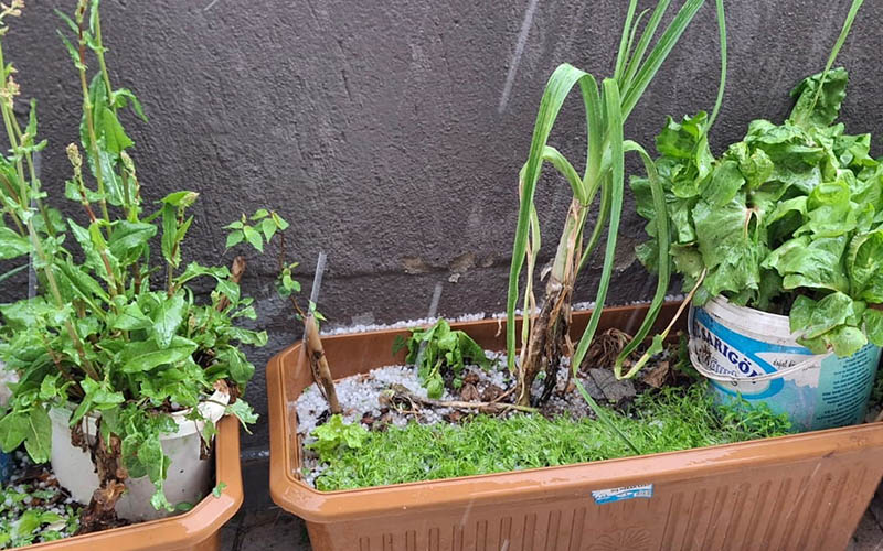Kale’de dolu yağışı etkili oldu, ağaçlar ve ekili alanlar zarar gördü
