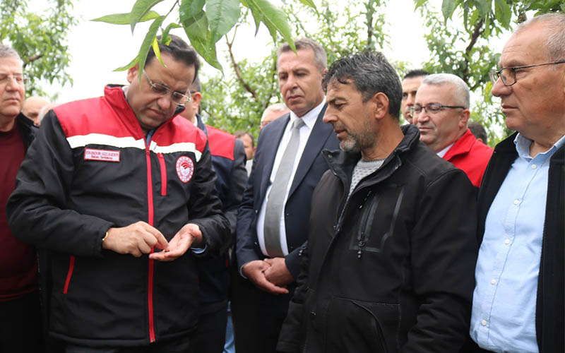 Bakan yardımcısı, zirai dondan zarar gören alanlarda inceleme yaptı