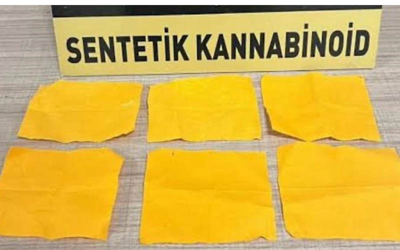 İstanbul’dan Denizli’ye uyuşturucu getirdi, tutuklandı