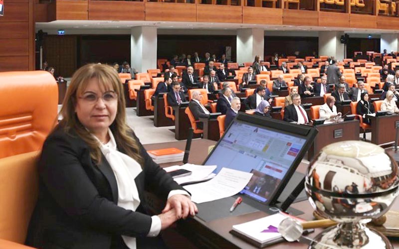 Karaca: Kimi tercihler güç odaklarının ruhuna hizmet eder