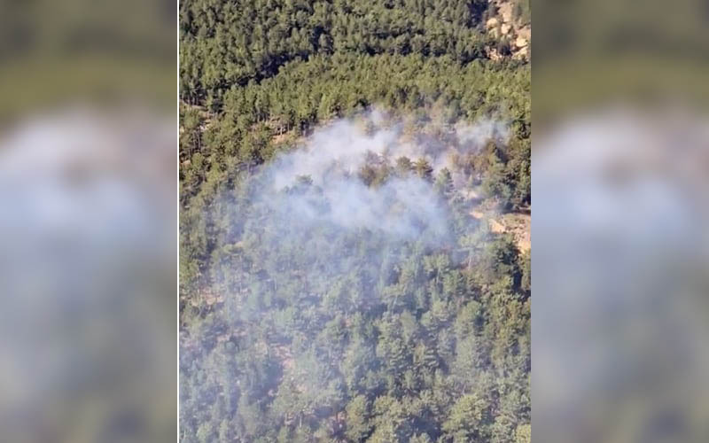 Hızlı müdahale 400 hektar ormanı yanmaktan kurtardı