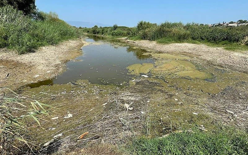 Büyük Menderes Havzası Su Tahsis ve Eylem Planı hazırlandı