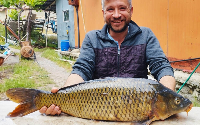 Amatör balıkçının oltasına 7 kiloluk sazan takıldı