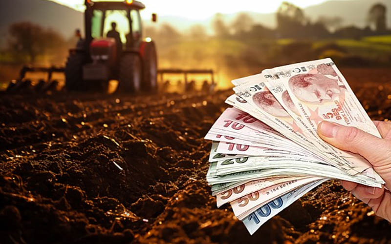 Çiftçilere 262 milyon lira destek ödemesi yapılıyor