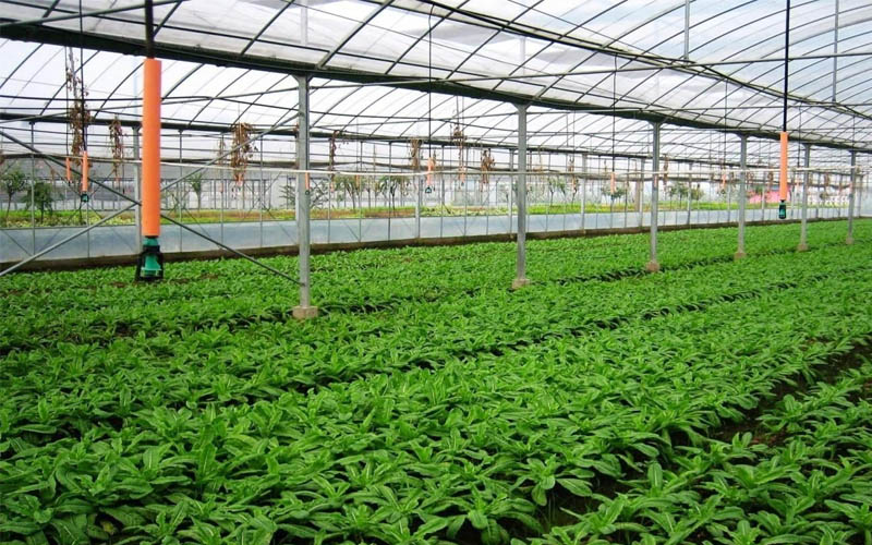 Denizli’nin tarım projelerine 87,4 milyon liralık hibe desteği