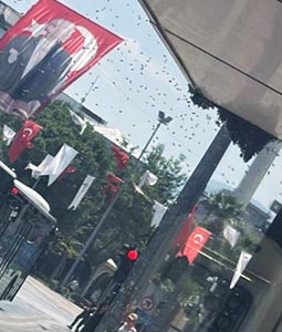 Denizli’de Kovandan kaçan arılar korku yarattı