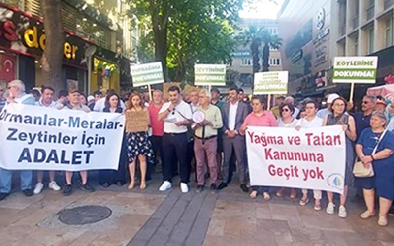 Zeytinliklerle ilgili Torba Yasa Tasarısı’na tepki