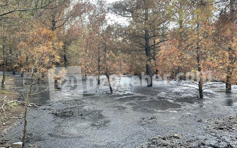 Akalan Biyogaz Santrali kirlilik, koku ve sinek üretmesiyle isyan ettiriyor