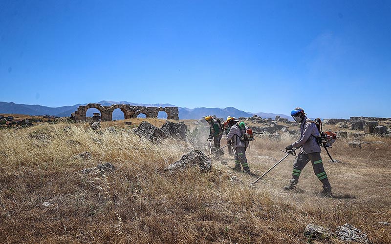 Laodikya’da yangına karşı kuru otlar temizleniyor
