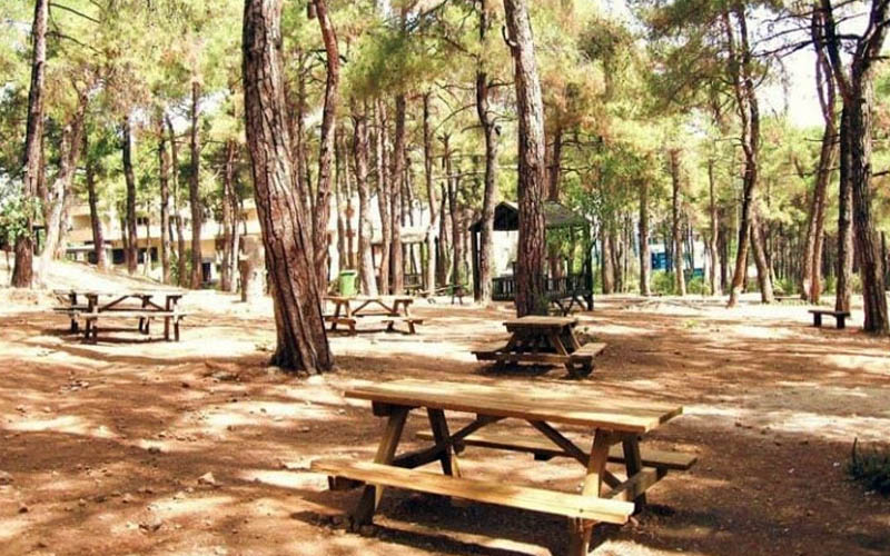 Valilik, Ormanlık ve mesirelik alanlara girişi yasakladı