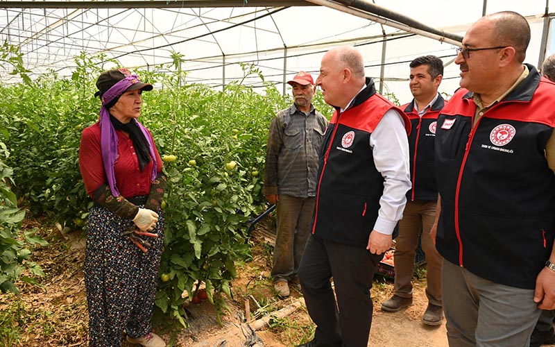 Denizli’de 272 hektar alanda seracılık yapılıyor