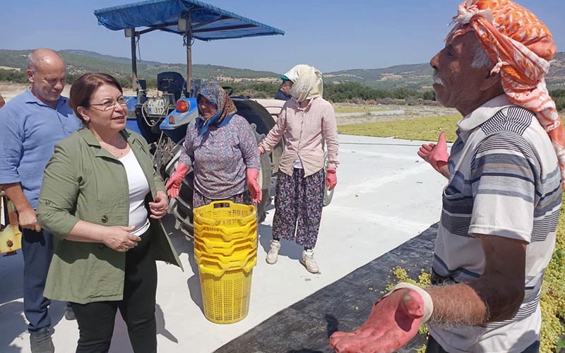 Karaca’dan üzüm fiyatı tepkisi: Ya düzeltin ya da istifa edin