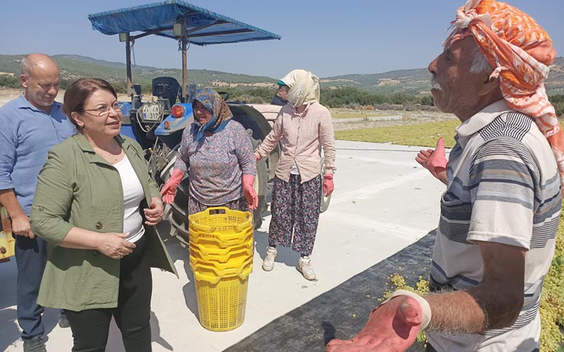 Karaca bakana sordu: Üzüm fiyatını ne zaman açıklayacaksınız?