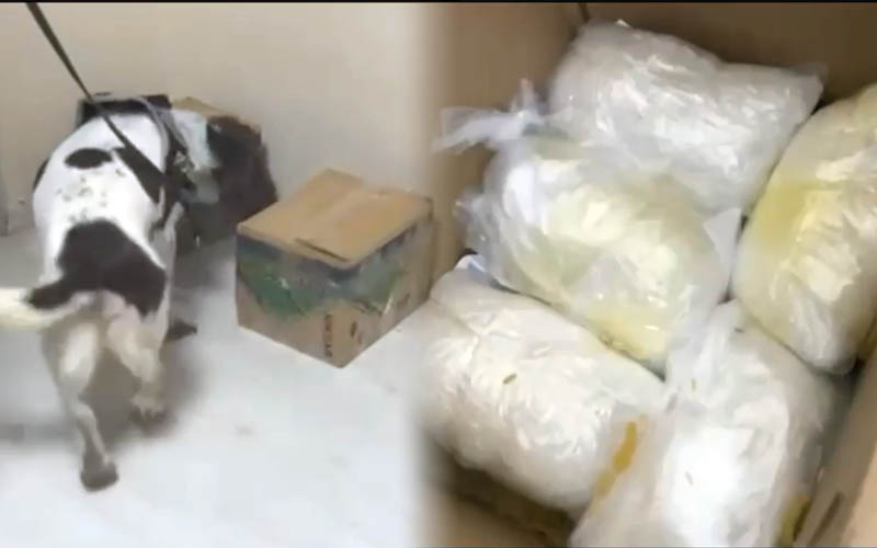 Koliden kilolarca uyuşturucu çıktı, 1 kişi tutuklandı