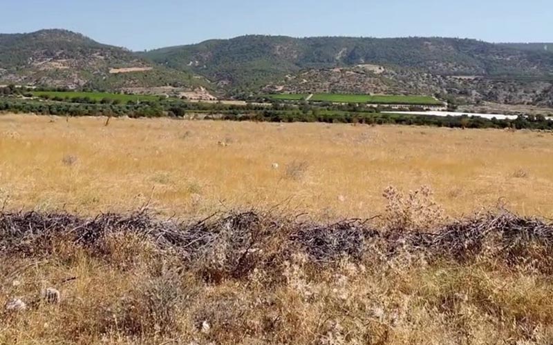 Milletvekili Ün: Üzüm bağları kum ocağına kurban edilmesin