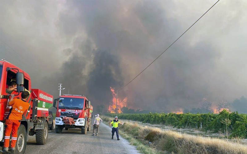 Denizli 6, Buldan 2. büyük orman felaketini yaşıyor