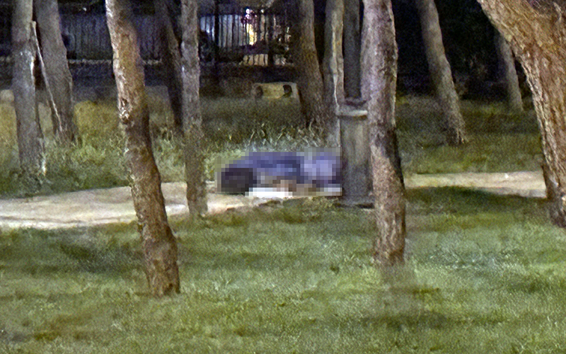 Parkta yürürken kalp krizi geçirdi, hayatını kaybetti