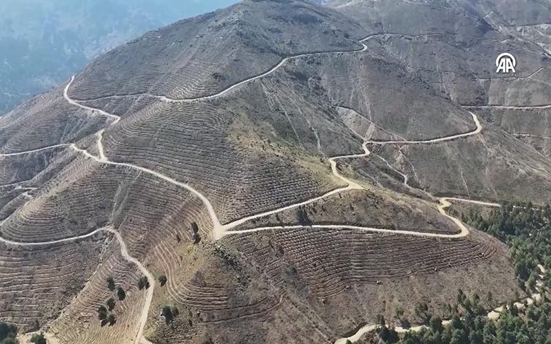 Yangınlarda zarar gören 1825 hektar alana 2,5 milyon fidan dikilecek