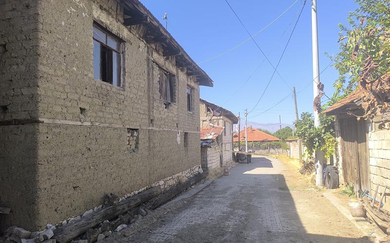 Yaşlı kadının ölümüyle ilgili torunu gözaltına alındı