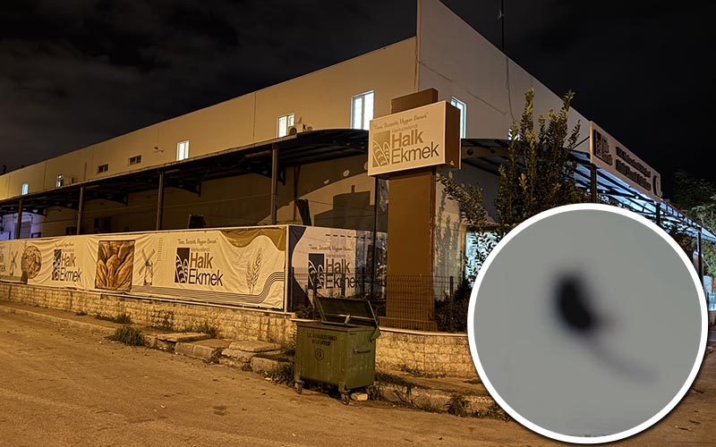 Merkezefendi Belediyesi Halk Ekmek Fabrikası’nda ölü fare bulundu