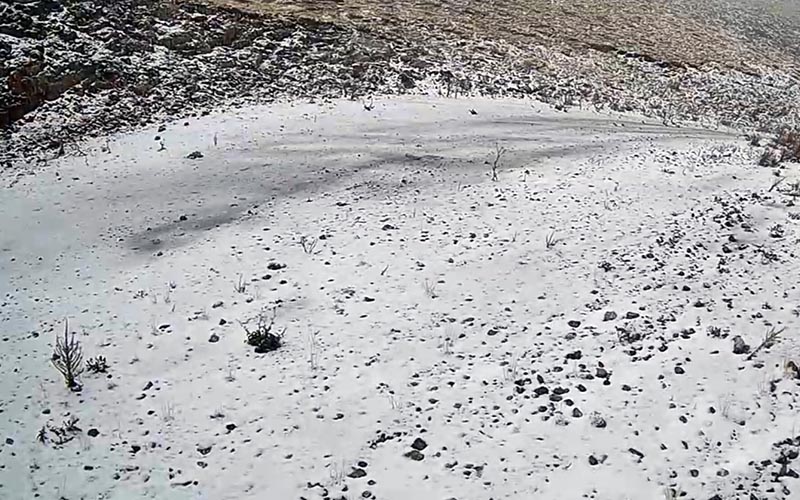 Denizli’ye mevsimin ilk karı yağdı
