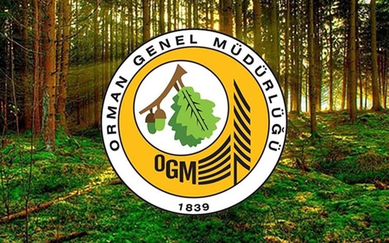 Orman Genel Müdürlüğü personel alacak