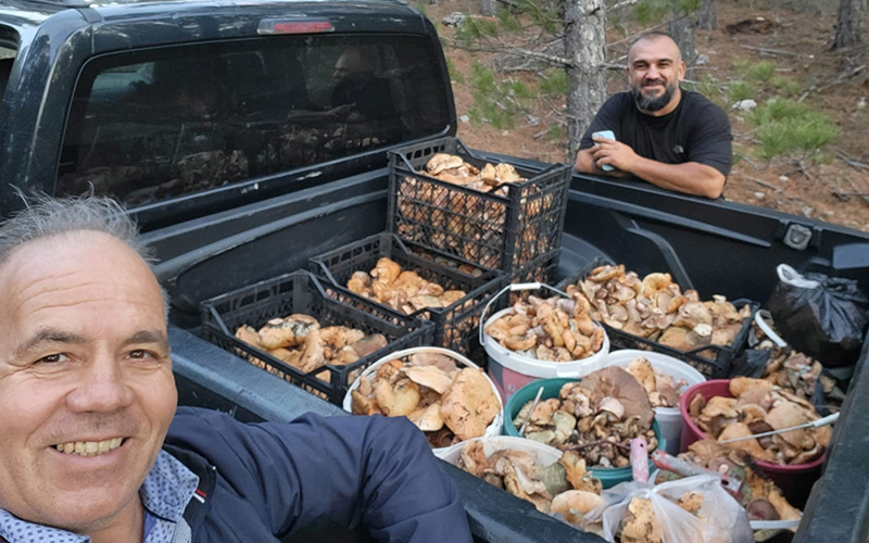 İki saatlik yürüyüşle kova kova çıntar