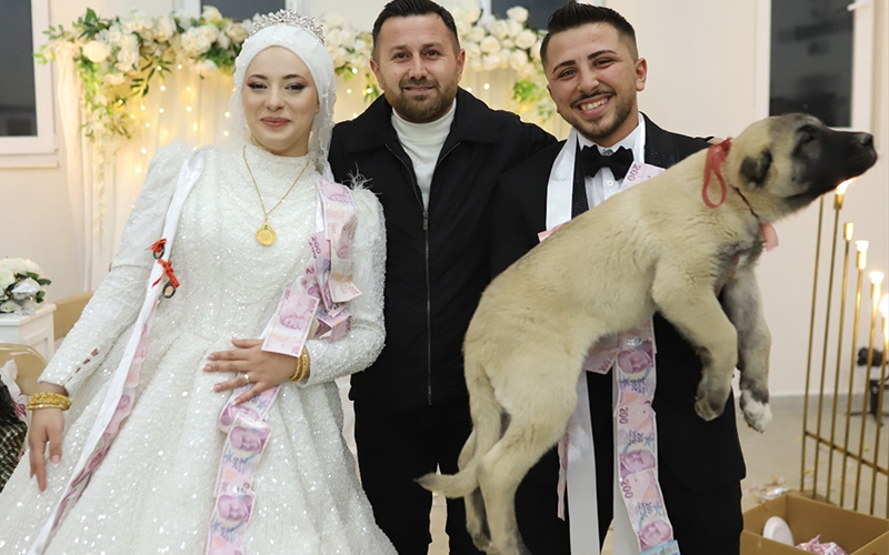 Damada takı yerine köpek hediye edildi