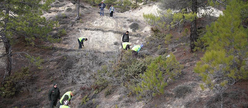 Denizli'de erozyonla mücadele çalışması