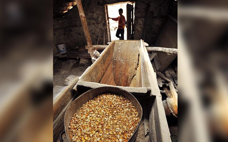 LAFOT’tan Yitirilenlerin Öyküsü konulu fotoğraf sergisi