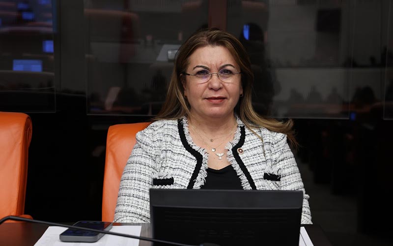 Karaca: Emekliye günde 35 lira reva görülüyor