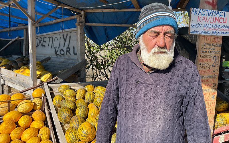 Emekli oldu, hayatını yerli kavun türlerini korumaya adadı