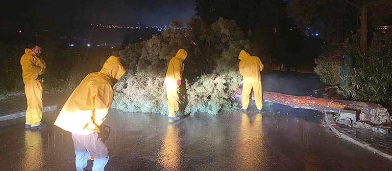 Denizli fırtınada devrilen ağaçlar