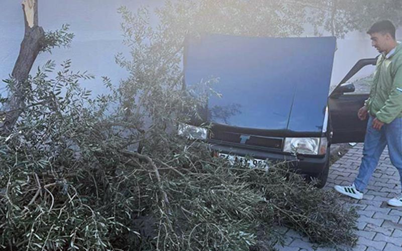 Otomobil önce ağaca, ardından duvara çarptı