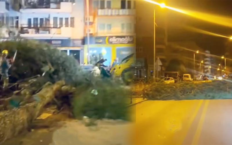 Fırtına ağaçları caddelere devirdi