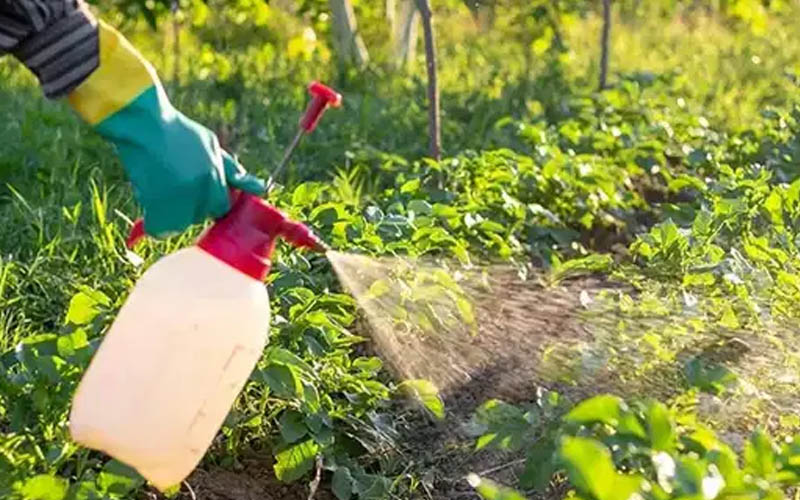 Hatalı ilaçlamanın önüne geçilmesi hedefleniyor: İşte B-Reçete Sistemi