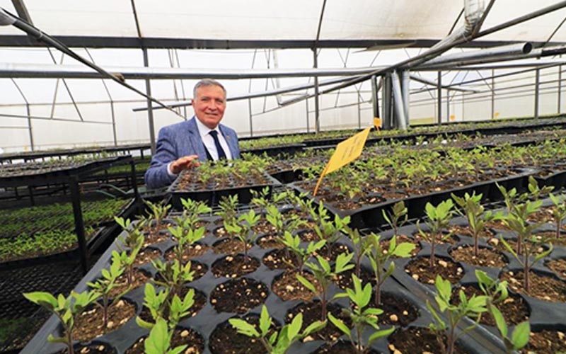 Honaz Belediyesi 8 Mart’ta 8 bin çiçek dağıtacak