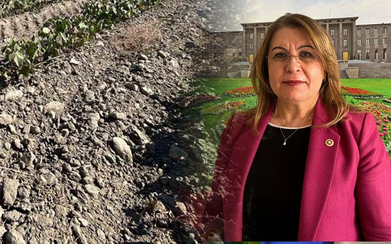 Denizli’deki su sorunu için meclis araştırma önergesi