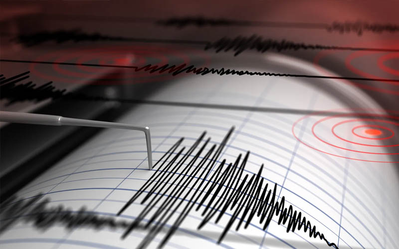 Gece yarısı korkutan deprem