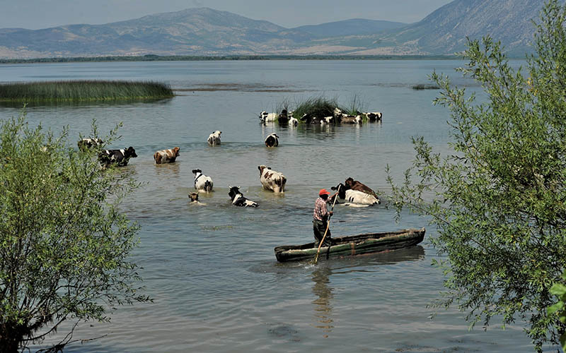 Suyun hafızası