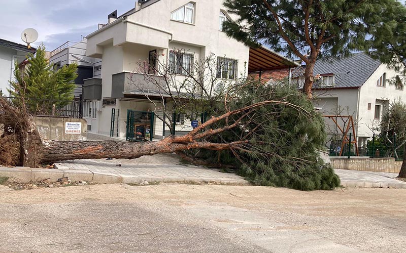 Fırtına ağaçları devirdi, çatıları uçurdu